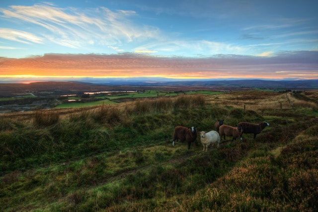 Irlanda, la Isla Esmeralda